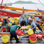 Thai seafood sector unites against illegal fishing, slave labour