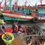 Response to Recent Reports on Forced Labour in Fisheries